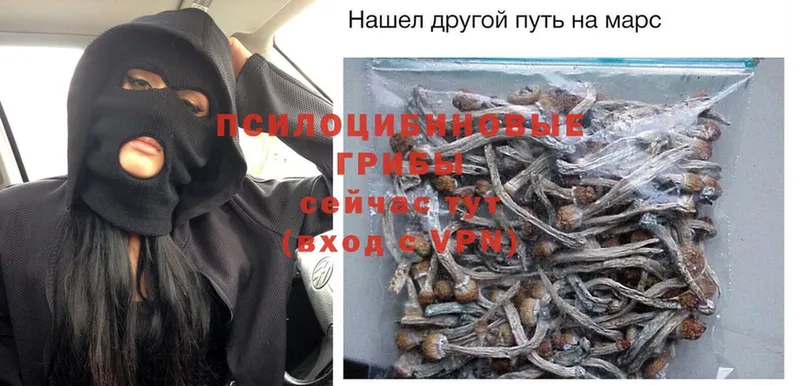 Псилоцибиновые грибы Psilocybe  Кораблино 